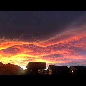 Meet your Posher, Madi